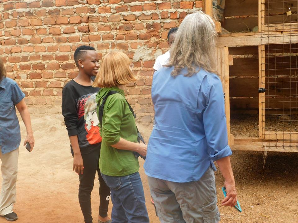 How to make a difference by volunteering in 2019